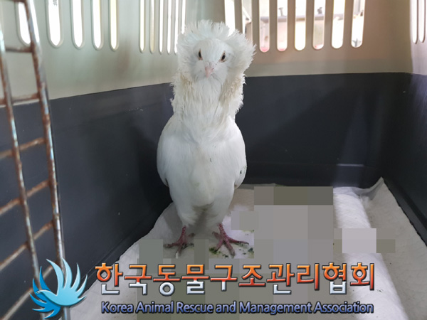 한국동물구조관리협회_411311202500032